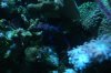 DSC03671.jpg