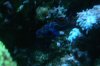DSC03673.JPG