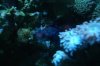 DSC03672.JPG