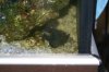 DSC03691.JPG