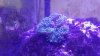 20140411_154245.jpg