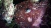 20140406_230842.jpg