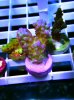 DSC09086edited.jpg