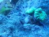 20140425_182907.jpg