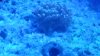 20140321_193447.jpg
