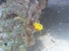 20140425_184729.jpg