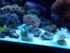 20140428_084951.jpg
