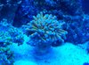 20140426_230832.jpg