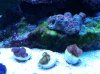 20140428_084915.jpg