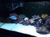 20140407_154057.jpg