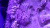 20140501_211711.jpg