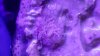 20140501_211716.jpg