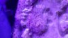 20140501_211714.jpg