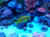 20140429_232317.jpg
