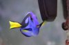 dori.jpg