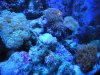 DSCN3281.JPG