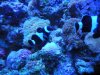 DSCN3283.JPG