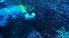IMG_20140516_221015_334.jpg