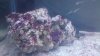 2014-05-17_22-05-15_67.jpg
