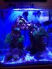 fts.JPG