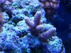 20140519_135524.jpg