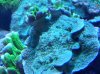 20140515_212126.jpg