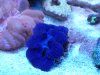 20140519_135254.jpg