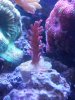 20140525_122345.jpg