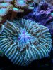 20140604_221151.jpg