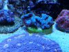 20140531_195842.jpg