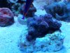 20140531_195826.jpg