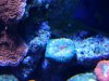 20140531_195806.jpg