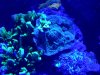 20140601_000448.jpg