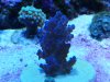 20140607_101858.jpg