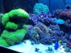 20140531_195526.jpg