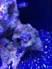 IMG_1485.JPG
