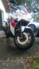 IMAG0516.jpg