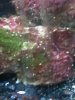 20140626_225810.jpg