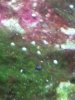 20140626_225749.jpg