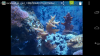 Screenshot_2014-06-29-17-05-07.png