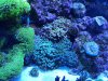 20140704_221839.jpg