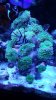 20140720_131342.jpeg
