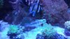 20140805_222918.jpeg