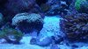 20140910_005005.jpeg