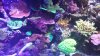 20140910_162213.jpg