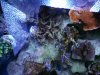 10706417_10204701829615643_1525627780_n.jpg