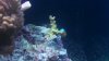 IMG_20140922_215413_217.jpg
