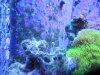 DSCN3322.JPG