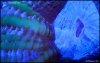 _DSC7614.JPG
