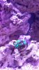 1005141847d.jpg
